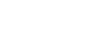 Logo blanc AVA